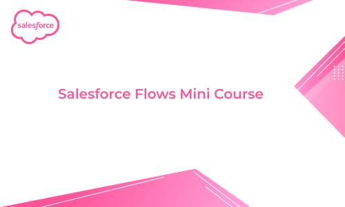 Salesforce Flows Mini Course
