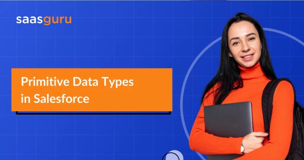 Primitive Data Types in Salesforce